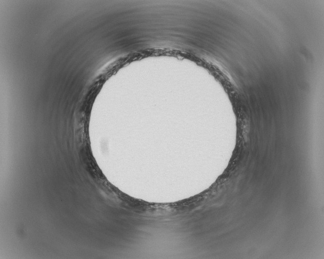 X0000115420968200912151559