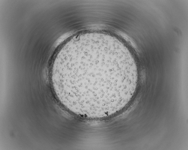 X0000115420970200912151559