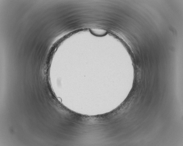 X0000115420971200912151559