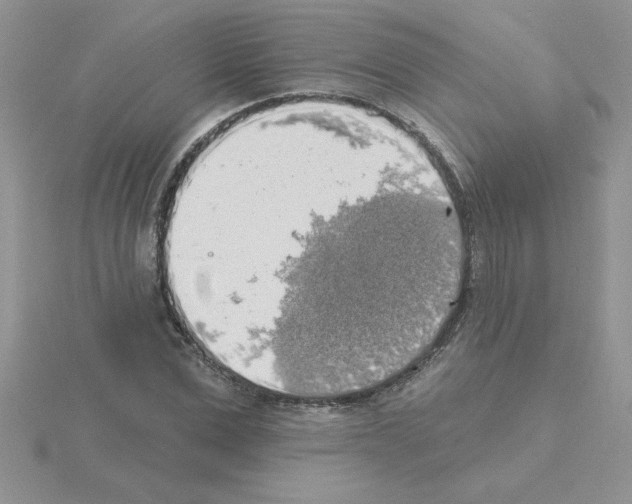 X0000115420975200912151559