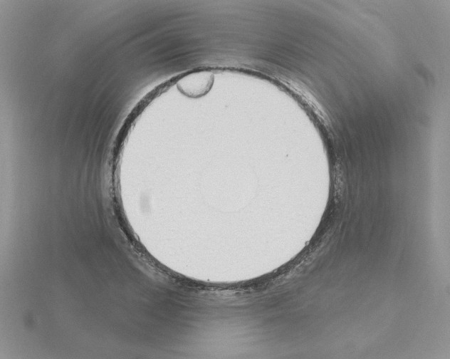 X0000115420976200912151559