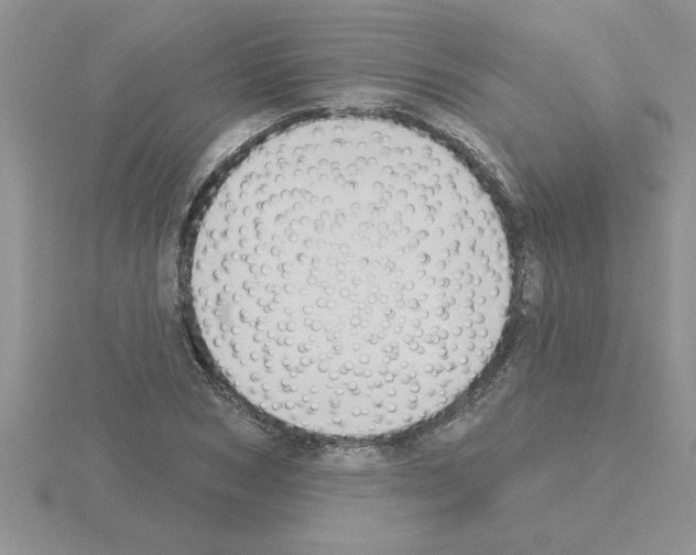 X0000115420978200912151559