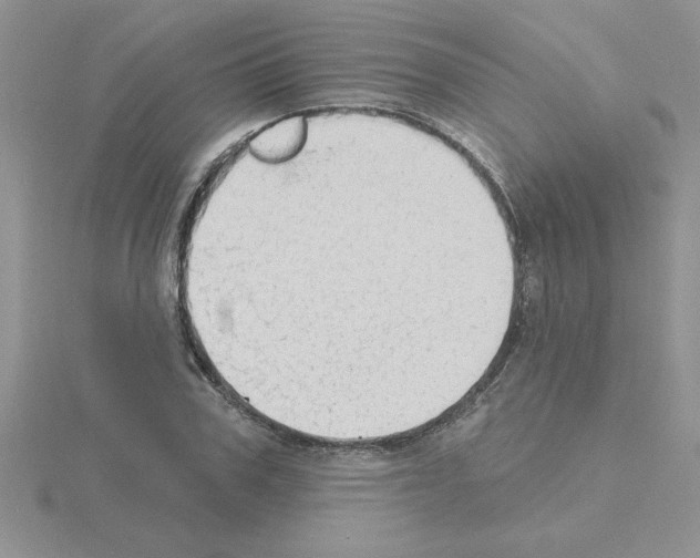 X0000115420979200912151559