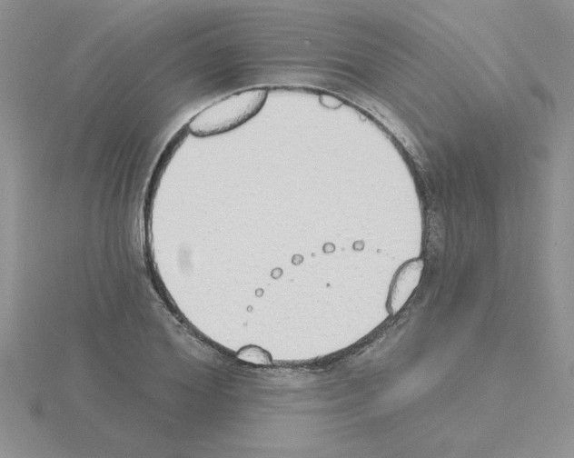 X0000115420980200912151559