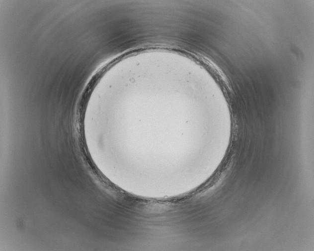 X0000115420981200912151559