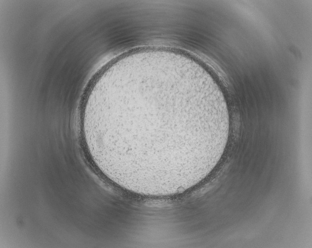 X0000115420982200912151559