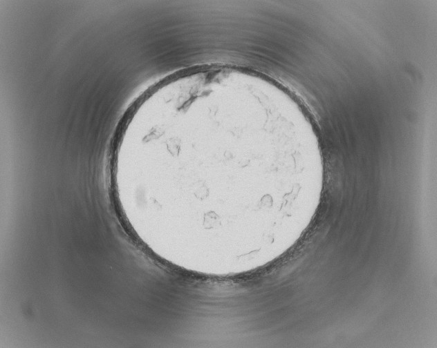 X0000115420983200912151559