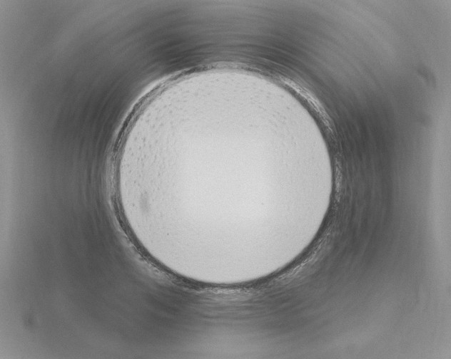 X0000115420984200912151559