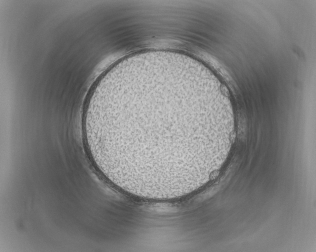 X0000115420986200912151559