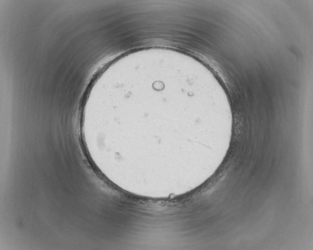 X0000115420987200912151559