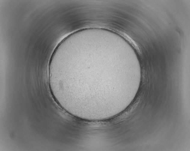 X0000115420988200912151559