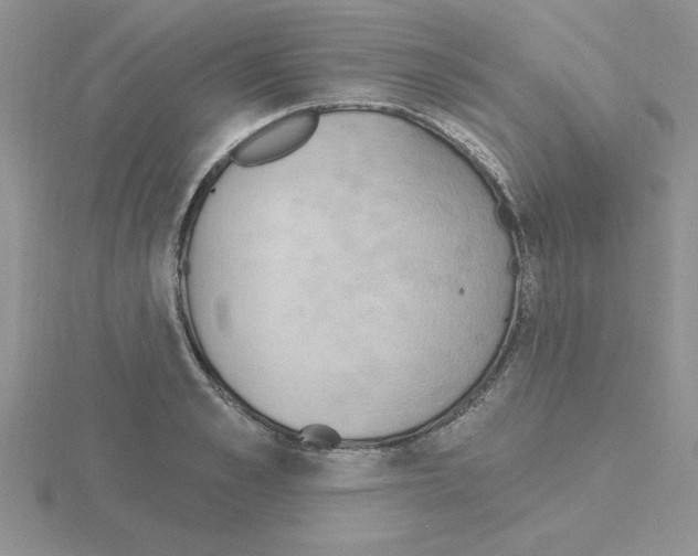 X0000115420989200912151559