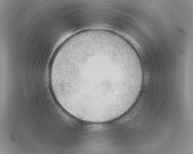 X0000115420990200912151559