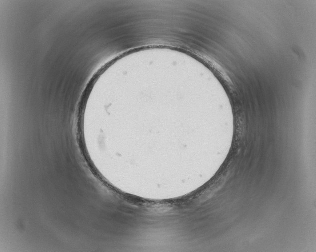 X0000115420991200912151559