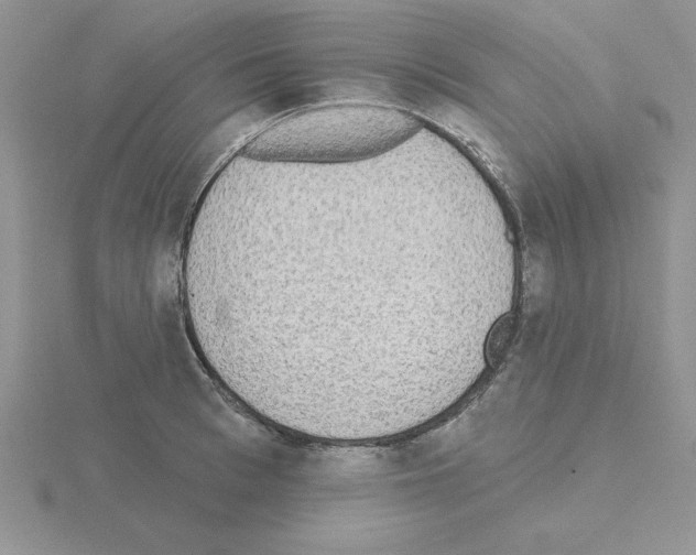 X0000115420993200912151559