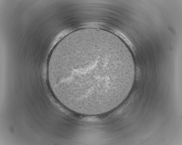 X0000115420994200912151559