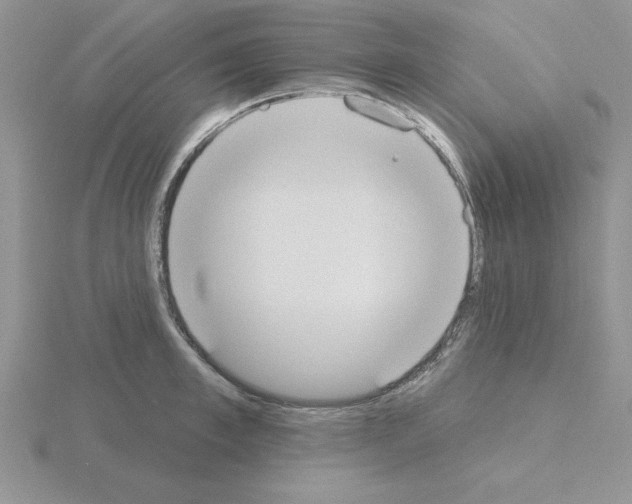 X0000115420997200912151559