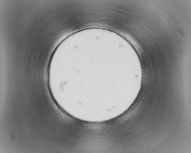 X0000115420999200912151559