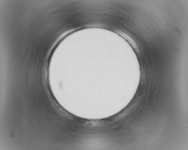 X0000115421000200912151559