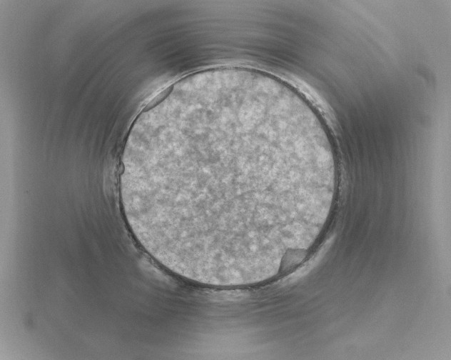 X0000115421001200912151559