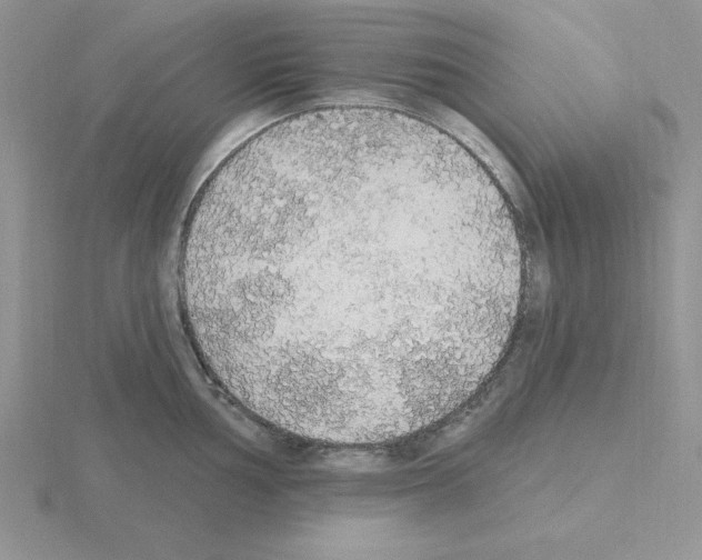 X0000115421002200912151559