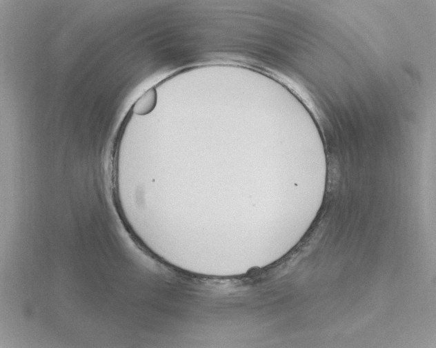 X0000115421003200912151559