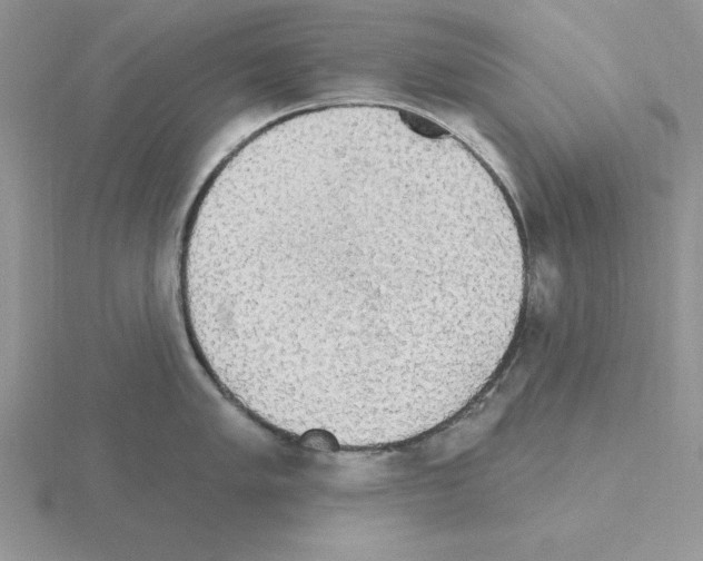 X0000115421005200912151559