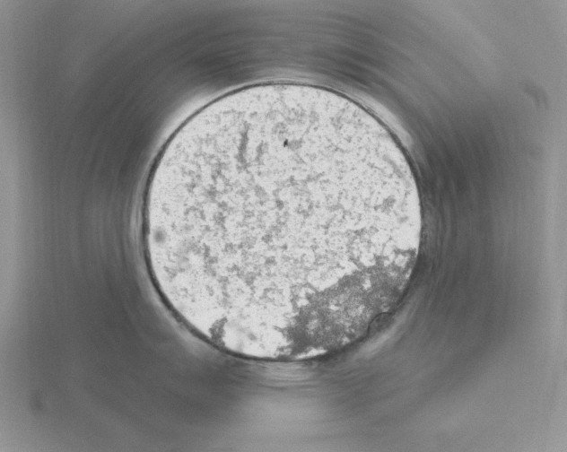 X0000115421007200912151559