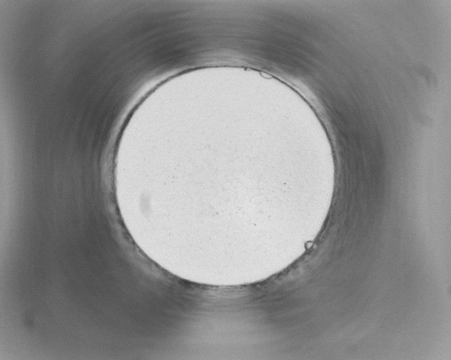 X0000115421008200912151559