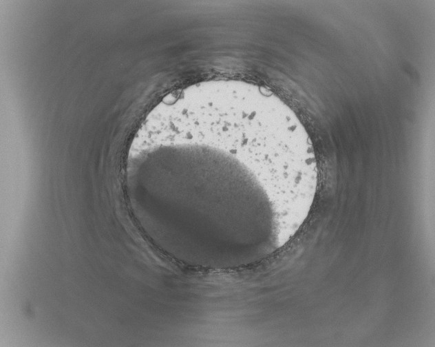 X0000115421009200912151558