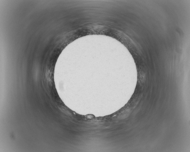 X0000115421010200912151558