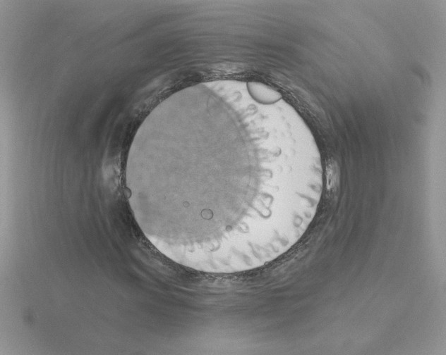 X0000115421011200912151558