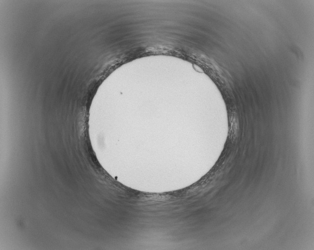 X0000115421012200912151558