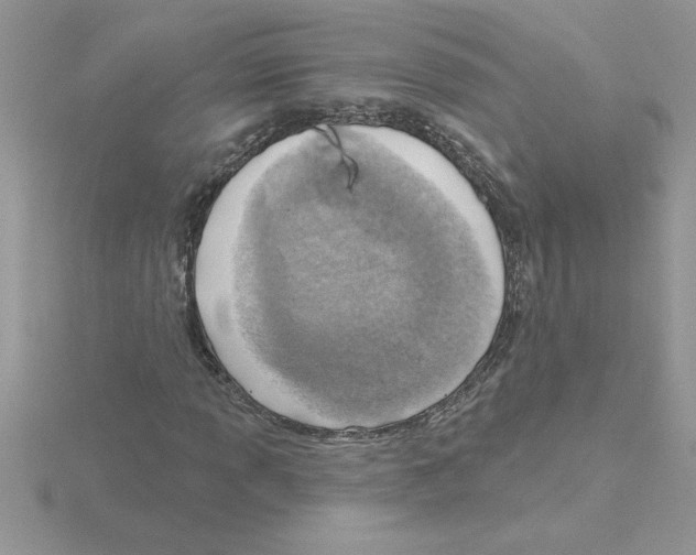 X0000115421013200912151558