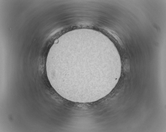 X0000115421015200912151558