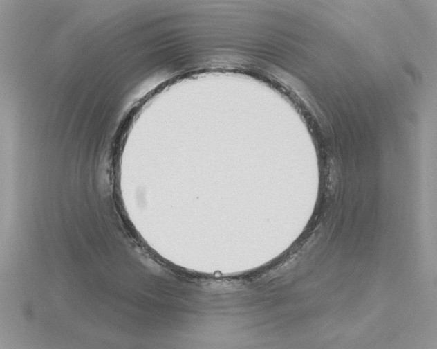 X0000115421018200912151558