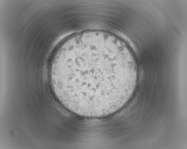 X0000115421019200912151558