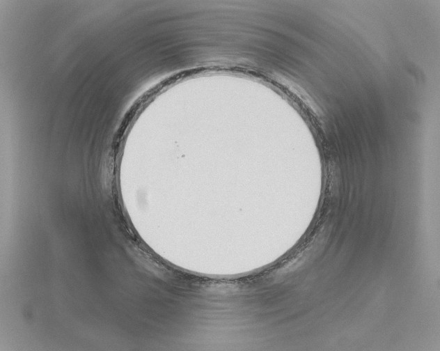 X0000115421021200912151558