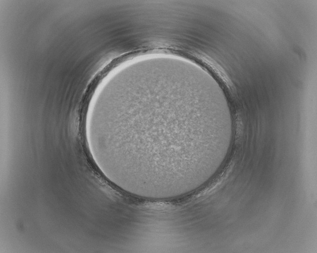 X0000115421023200912151558