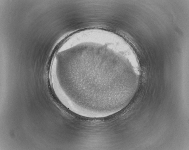 X0000115421024200912151558