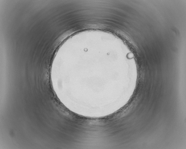 X0000115421025200912151558