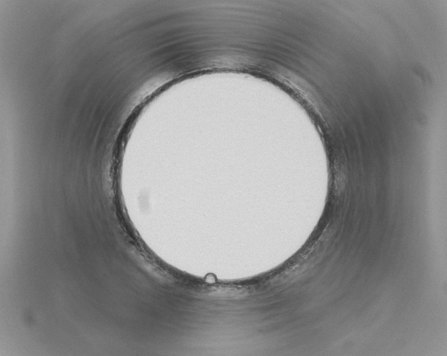 X0000115421026200912151558