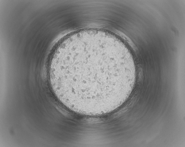 X0000115421027200912151558