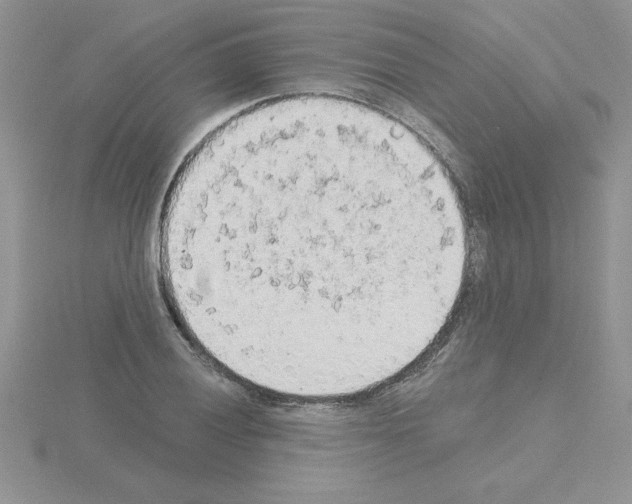 X0000115421028200912151558