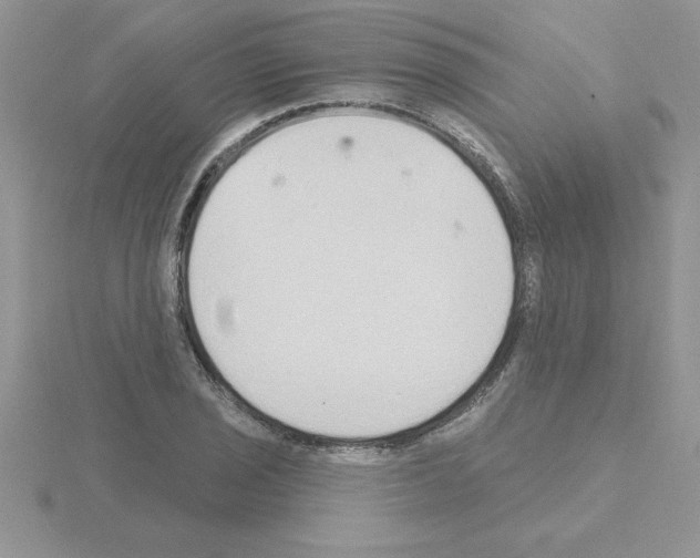 X0000115421029200912151558