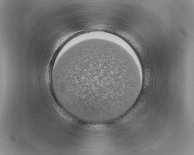 X0000115421031200912151559