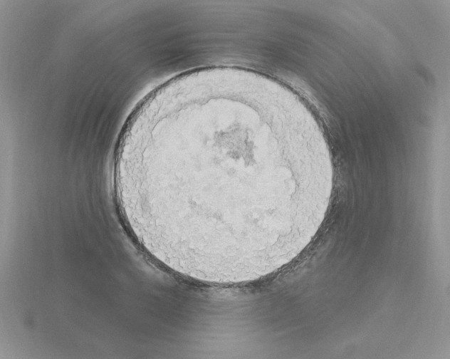 X0000115421032200912151559