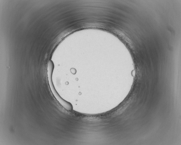 X0000115421033200912151559