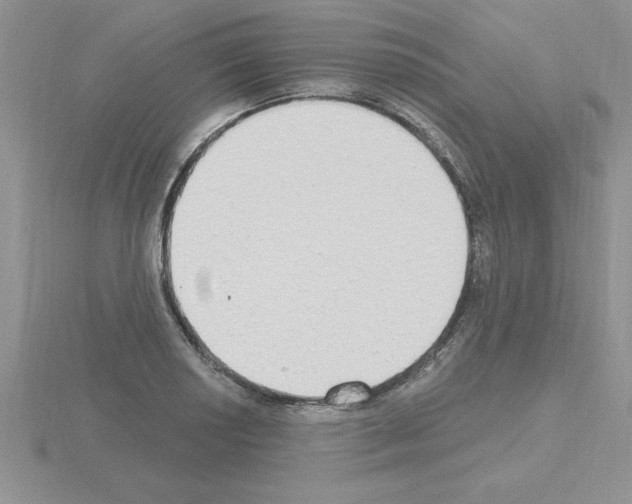 X0000115421034200912151559