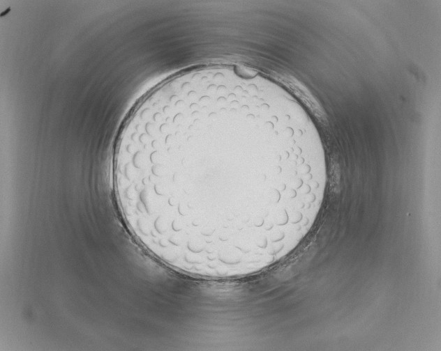 X0000115421036200912151559